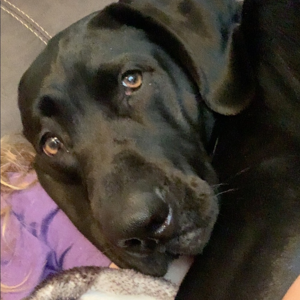 Meet your Posher, Ashley